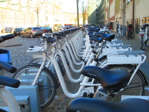 This repetition is intriguing considering the variety of bikes in the city